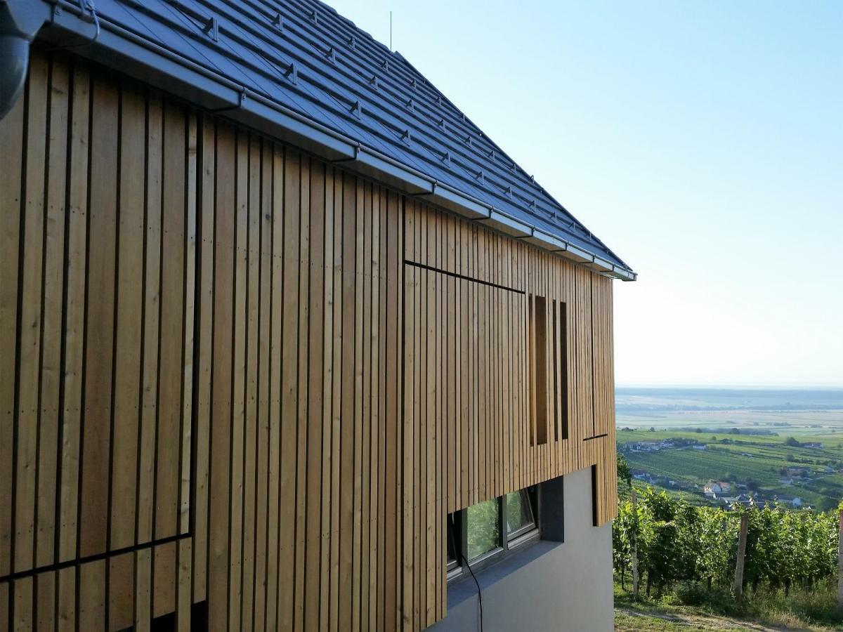 Villa Weinlofts Weinloft II Eisenberg an der Pinka Esterno foto